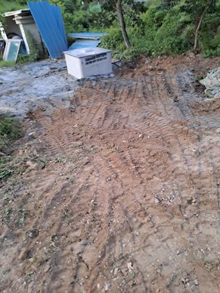 손정식님의 들깨 · 영농일지 작성글 사진