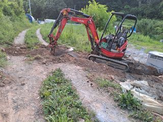 손정식님의 들깨 · 영농일지 작성글 사진