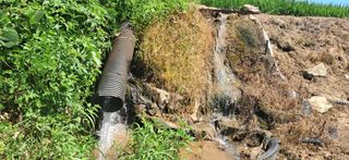 이복길님의 벼 · 영농일지 작성글 사진