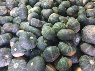 고흥거금도농부님의 호박 · 영농일지 작성글 사진