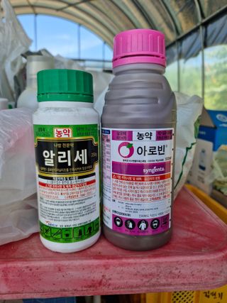 영평골님의 복숭아 · 영농일지 작성글 사진