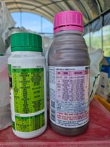 팜모닝 복숭아·영농일지 게시글 이미지