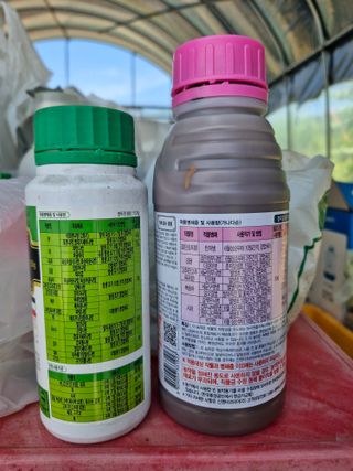 영평골님의 복숭아 · 영농일지 작성글 사진