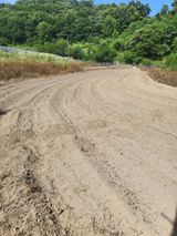 팜모닝 들깨·영농일지 게시글 이미지