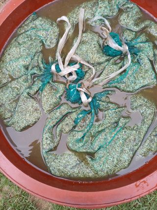 삼성농산님의 마늘 · 영농일지 작성글 사진