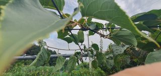 박상중님의 배 · 영농일지 작성글 사진