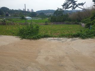 박석중님의 기타작물 · 영농일지 작성글 사진