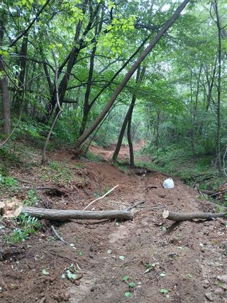 象峰 농산님의 기타작물 · 영농일지 작성글 사진