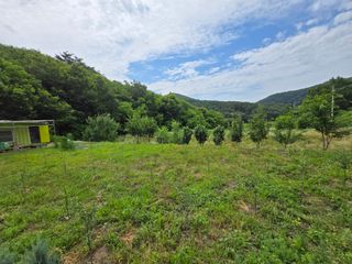 강호지인님의 기타작물 · 영농일지 작성글 사진