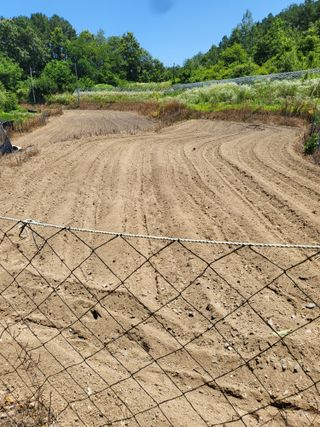 사과18677님의 들깨 · 영농일지 작성글 사진