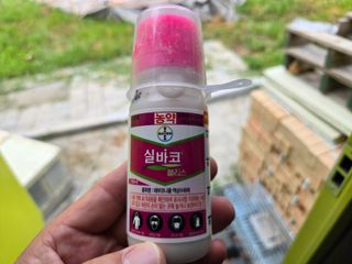 강호지인님의 기타작물 · 영농일지 작성글 사진