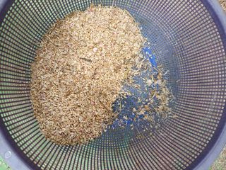 삼성농산님의 마늘 · 영농일지 작성글 사진