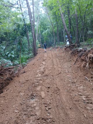 象峰 농산님의 기타작물 · 영농일지 작성글 사진