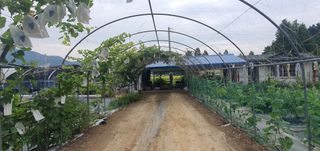 박상중님의 배 · 영농일지 작성글 사진