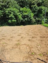 팜모닝 들깨·영농일지 게시글 이미지