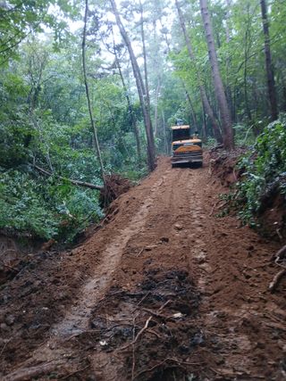 象峰 농산님의 기타작물 · 영농일지 작성글 사진