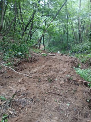 象峰 농산님의 기타작물 · 영농일지 작성글 사진