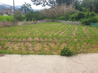 박석중님의 기타작물 · 영농일지 작성글 사진