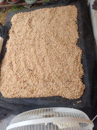 삼성농산님의 마늘 · 영농일지 작성글 사진