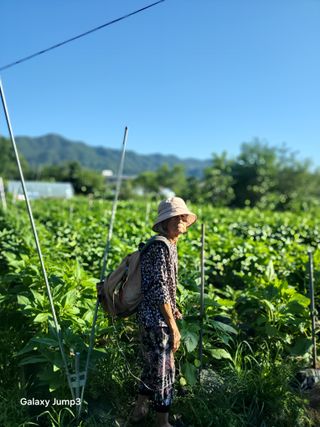 이천산수유3대농부님의 참깨 · 영농일지 작성글 사진