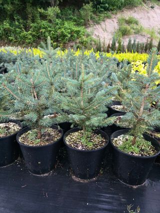 이선미님의 기타작물 · 영농일지 작성글 사진