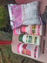 팜모닝 사과·영농일지 게시글 이미지