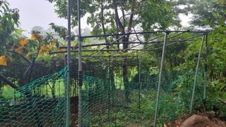 권혁렬님의 오이 · 영농일지 작성글 사진