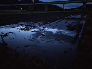 박원봉님의 호박 · 영농일지 작성글 사진