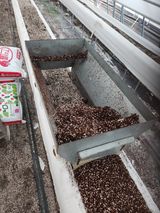 팜모닝 딸기·영농일지 게시글 이미지