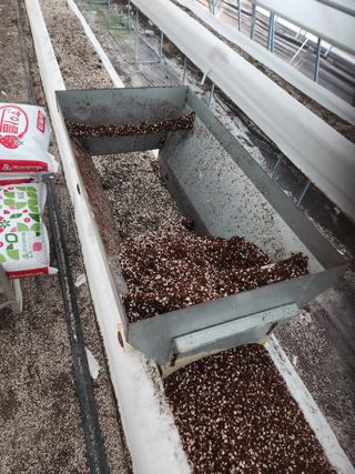 상월딸기 박명근님의 딸기 · 영농일지 작성글 사진