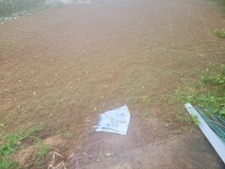 신상범님의 들깨 · 영농일지 작성글 사진