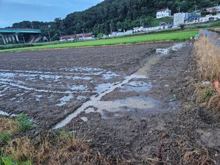 박원봉님의 호박 · 영농일지 작성글 사진