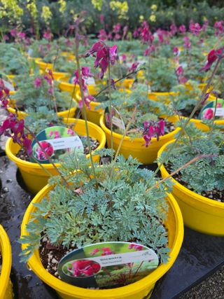 이선미님의 기타작물 · 영농일지 작성글 사진