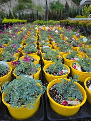 이선미님의 기타작물 · 영농일지 작성글 사진