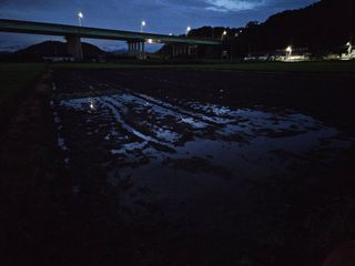 박원봉님의 호박 · 영농일지 작성글 사진