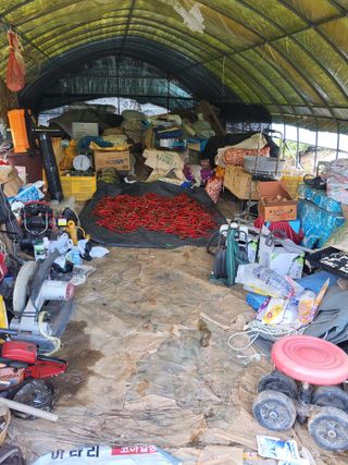 최유순님의 기타작물 · 영농일지 작성글 사진