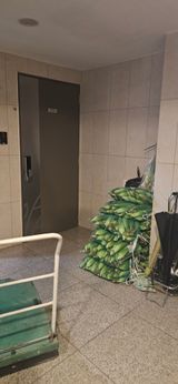 팜모닝 옥수수·영농일지 게시글 이미지