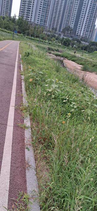 이복길님의 벼 · 영농일지 작성글 사진