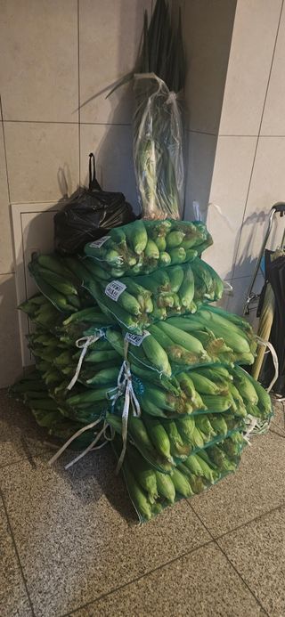 이규동님의 옥수수 · 영농일지 작성글 사진