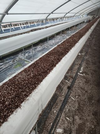 상월딸기 박명근님의 딸기 · 영농일지 작성글 사진