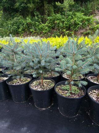 이선미님의 기타작물 · 영농일지 작성글 사진