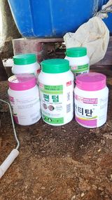 팜모닝 감·영농일지 게시글 이미지