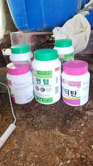 김종포님의 감 · 영농일지 작성글 사진
