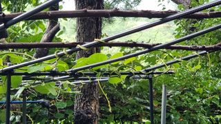 권혁렬님의 오이 · 영농일지 작성글 사진