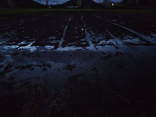 박원봉님의 호박 · 영농일지 작성글 사진