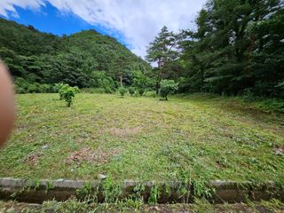 내땅님의 기타작물 · 영농일지 작성글 사진