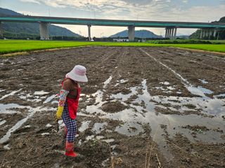 박원봉님의 호박 · 영농일지 작성글 사진