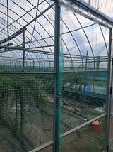 팜모닝 기타작물·영농일지 게시글 이미지