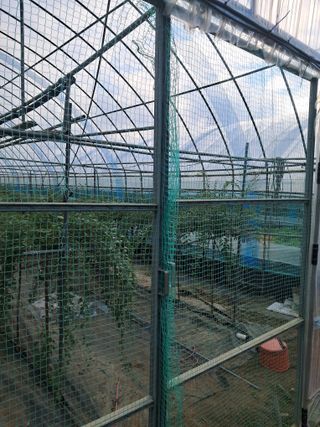 이천순님의 기타작물 · 영농일지 작성글 사진