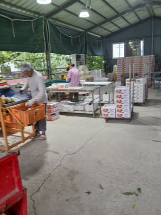 성재엄마님의 기타작물 · 영농일지 작성글 사진